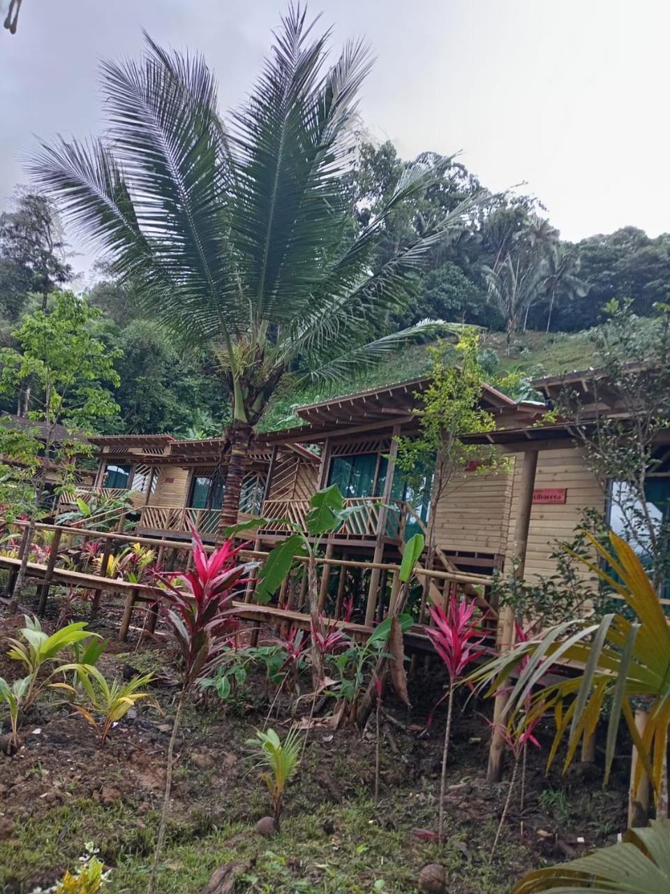 Pacific Nuqui Lodge Dış mekan fotoğraf